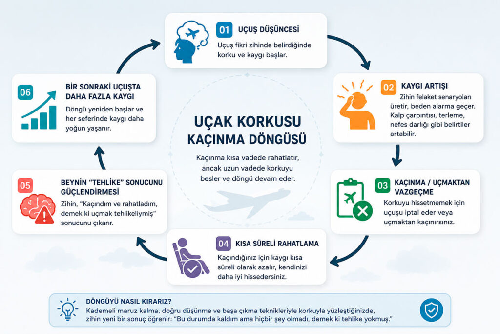 Uçak Korkusu Nasıl Yenilir? Etkili Psikolojik Yöntemler ve BDT 1 Uçak korkusunda kaçınmanın kısa vadede rahatlatıp uzun vadede fobiyi nasıl güçlendirdiğini gösteren döngü.